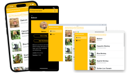 The Monkey Finder Hybrid app running on iOS, Android, Windows and macOS